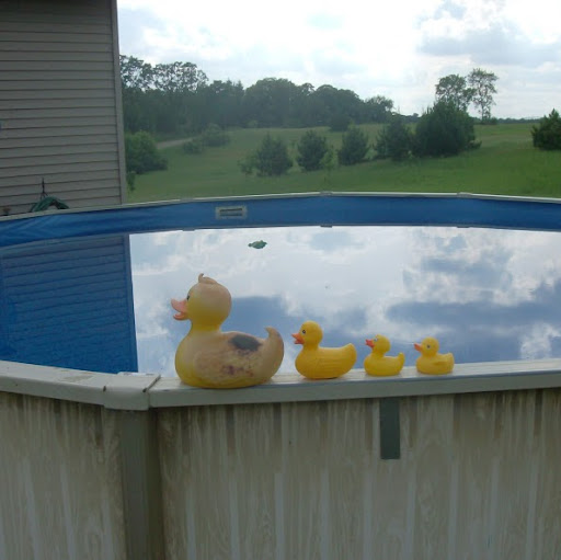 Donna Eidson Photo 5