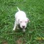 Betty Cartwright Photo 23