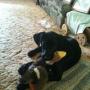 Angie Yoder Photo 19