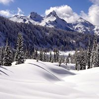 David Swarts Photo 7