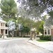 Carol Waggoner Photo 35