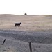 Carrie Kerns Photo 30