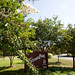 Steven Kessler Photo 45