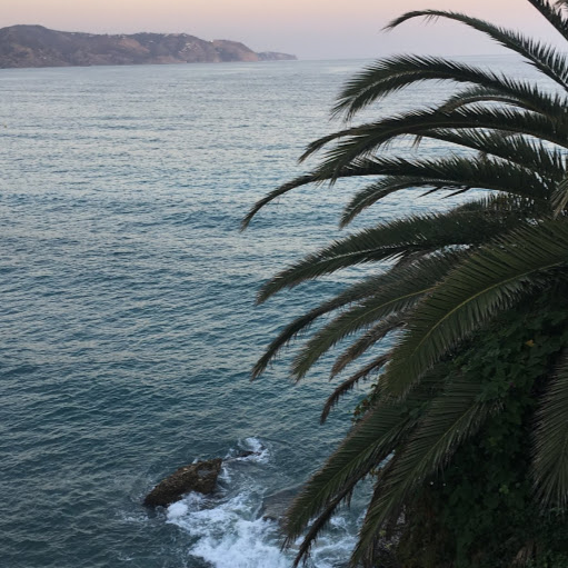 Alfonso Martin Photo 10