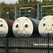 Thomas Thomas Photo 37