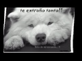 Ligia Chacon Photo 6