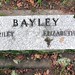 James Bayley Photo 39