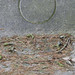 Burke Hill Photo 32