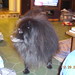 Tasha Good Photo 23