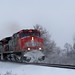 Wayne Blizzard Photo 22