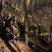 Nathan Stump Photo 29