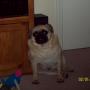 Joshua Borden Photo 26