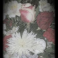 Gail Paquette Photo 2