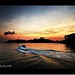 Ryan Levin Photo 38