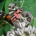 Vanessa Medford Photo 14