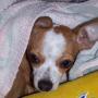 Norma Muniz Photo 24