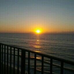 Kathy Crone Photo 9