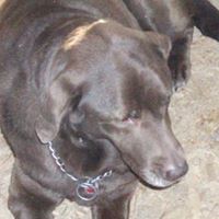 Scott Courter Photo 1