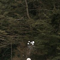 Helen Milne Photo 4