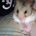 Ching Ching Photo 27