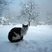 Douglas Winter Photo 37