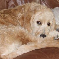 Shirley Swasey Photo 1