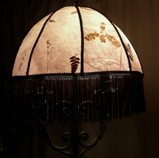 Luz Luna Photo 11