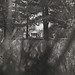 Patrick Fairfield Photo 9