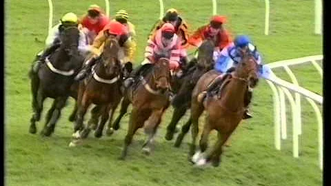 Adrian Maguire Photo 15