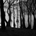 Emanuel Smith Photo 44