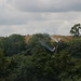Jason Krause Photo 33