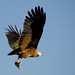 Jo Hawks Photo 18
