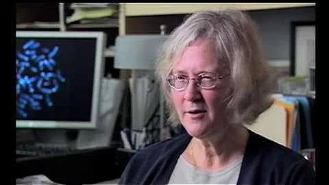 Elizabeth Hershman Photo 7