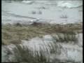Gale Ross Photo 21