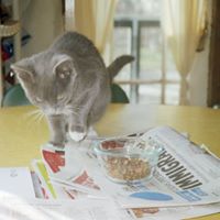 Colleen Keegan Photo 8