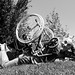 Jordi Ribas Photo 23