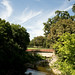 Steven Kessler Photo 44