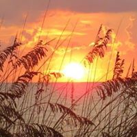Julie Dietz Photo 3