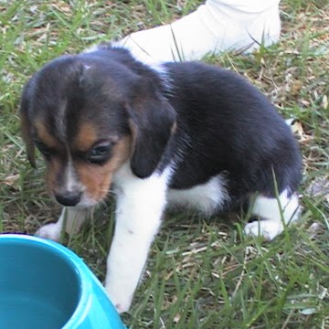 Eric Overton Photo 13