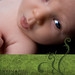 Vincent Carter Photo 48