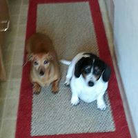 Tonya Franks Photo 8