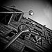 Paul Rossner Photo 14