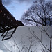 Alan Knoll Photo 20