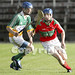 Sean Lucey Photo 32