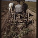 Russell Bean Photo 26