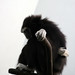 Michael Hogle Photo 23