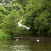 Bryan Drummond Photo 31