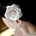 Colleen Bloom Photo 33