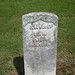 James Mccune Photo 46