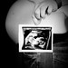 Kylie Law Photo 21
